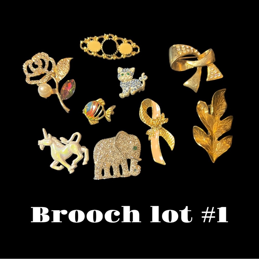Brooch lot #1 - vintage and new